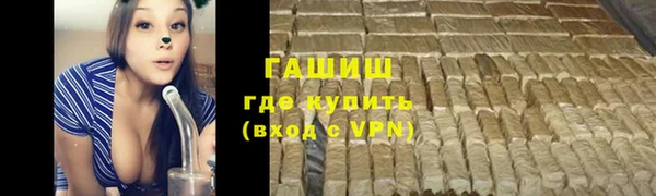 прущие грибы Абаза