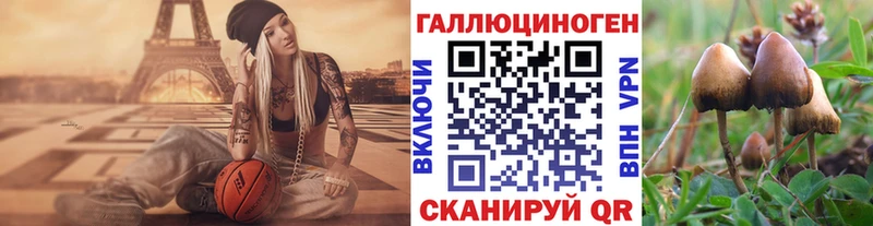 даркнет состав  Абдулино  Галлюциногенные грибы Cubensis  купить наркоту 